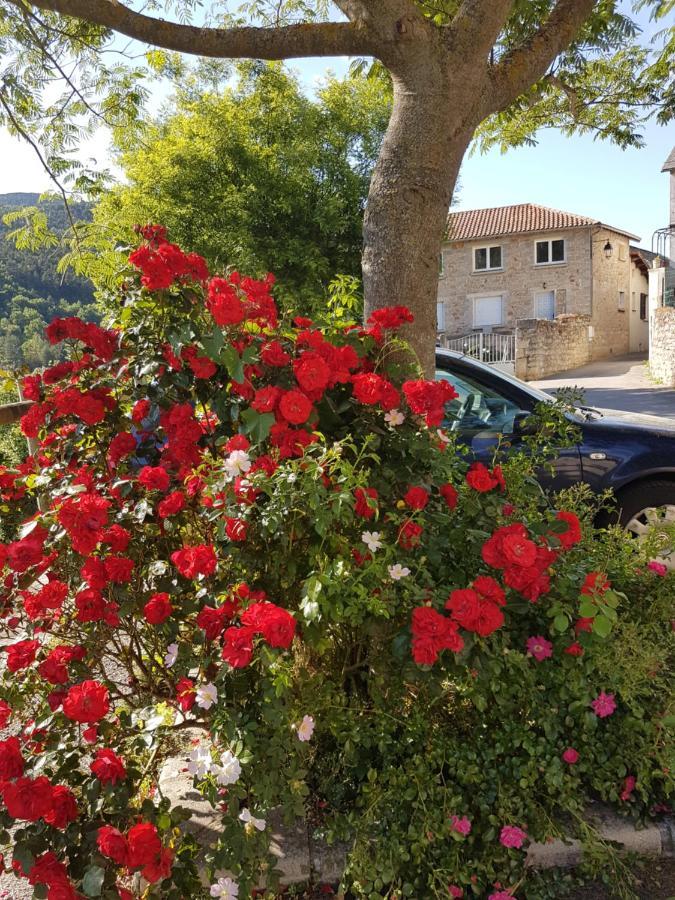 Les Gorges Du Tarn Appartement